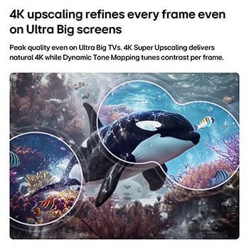 LG QNED evo AI QNED75 Mini LED with 4K Super Upscaling and Dynamic Tone Mapping shows an underwater scene of an orca swimming, as AI recognizes and upscales every frame to 4K resolution.